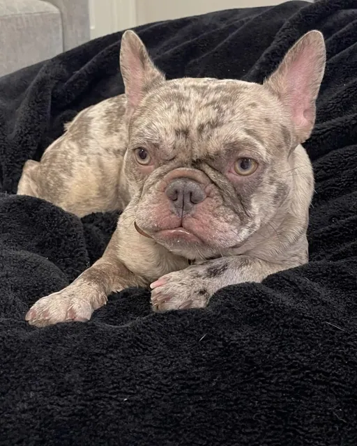 Maggie, photo 1