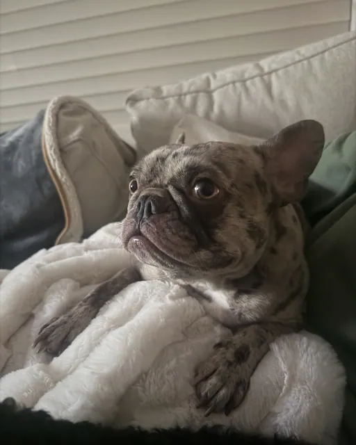 Maggie, photo 2