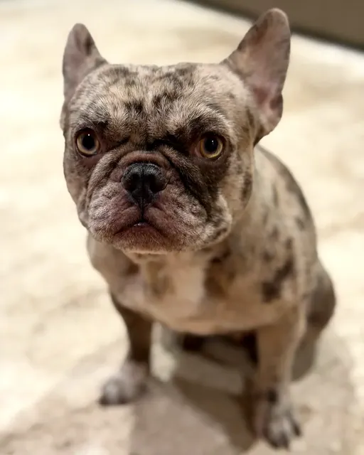 Maggie, photo 4